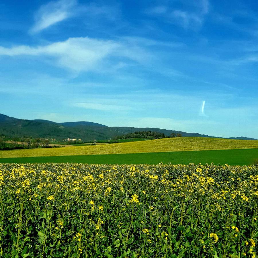 Agroturystyka Sielska Kraina زابكوفيتسي سلاسكي المظهر الخارجي الصورة