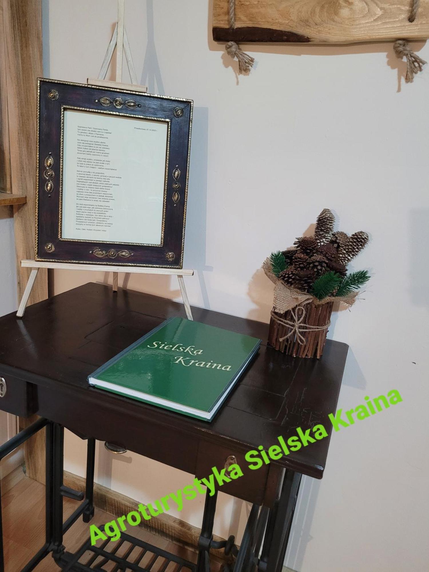 Agroturystyka Sielska Kraina زابكوفيتسي سلاسكي المظهر الخارجي الصورة